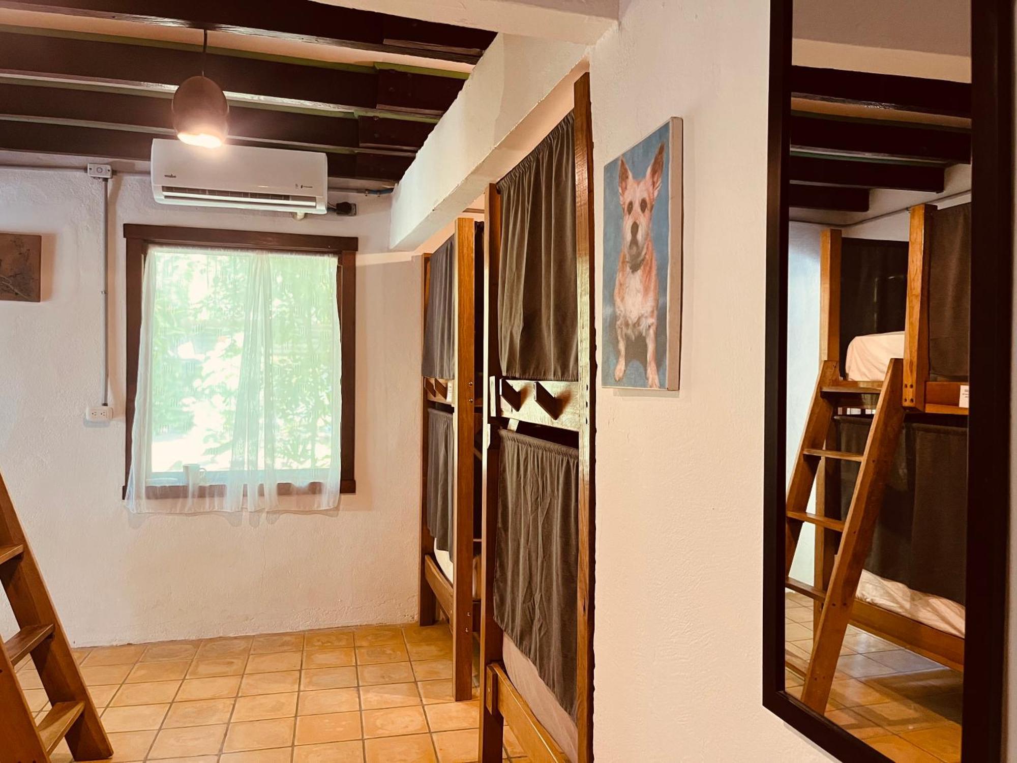 Puerto Viejo de Talamanca La Ruka Hostel מראה חיצוני תמונה