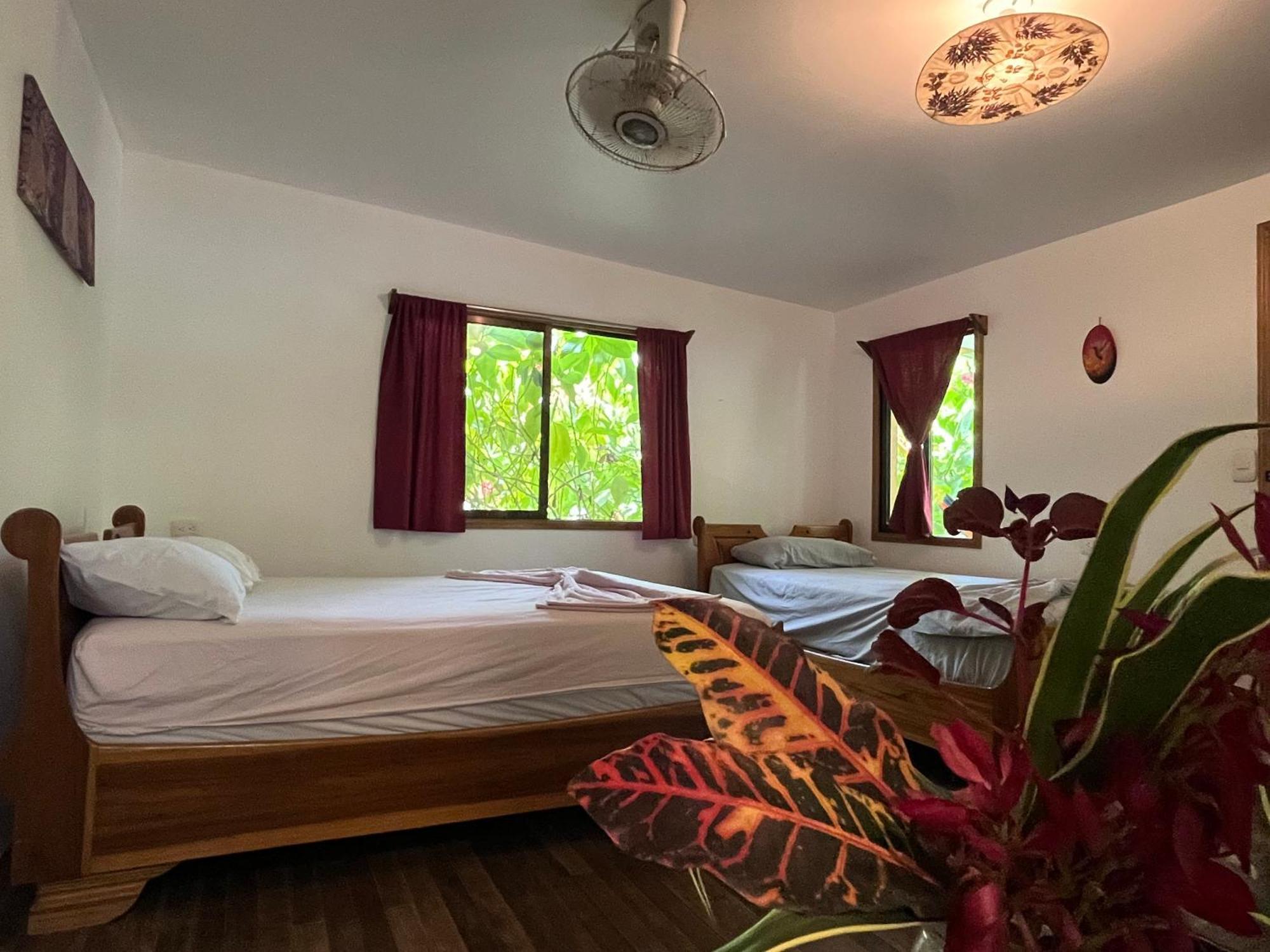 Puerto Viejo de Talamanca La Ruka Hostel מראה חיצוני תמונה