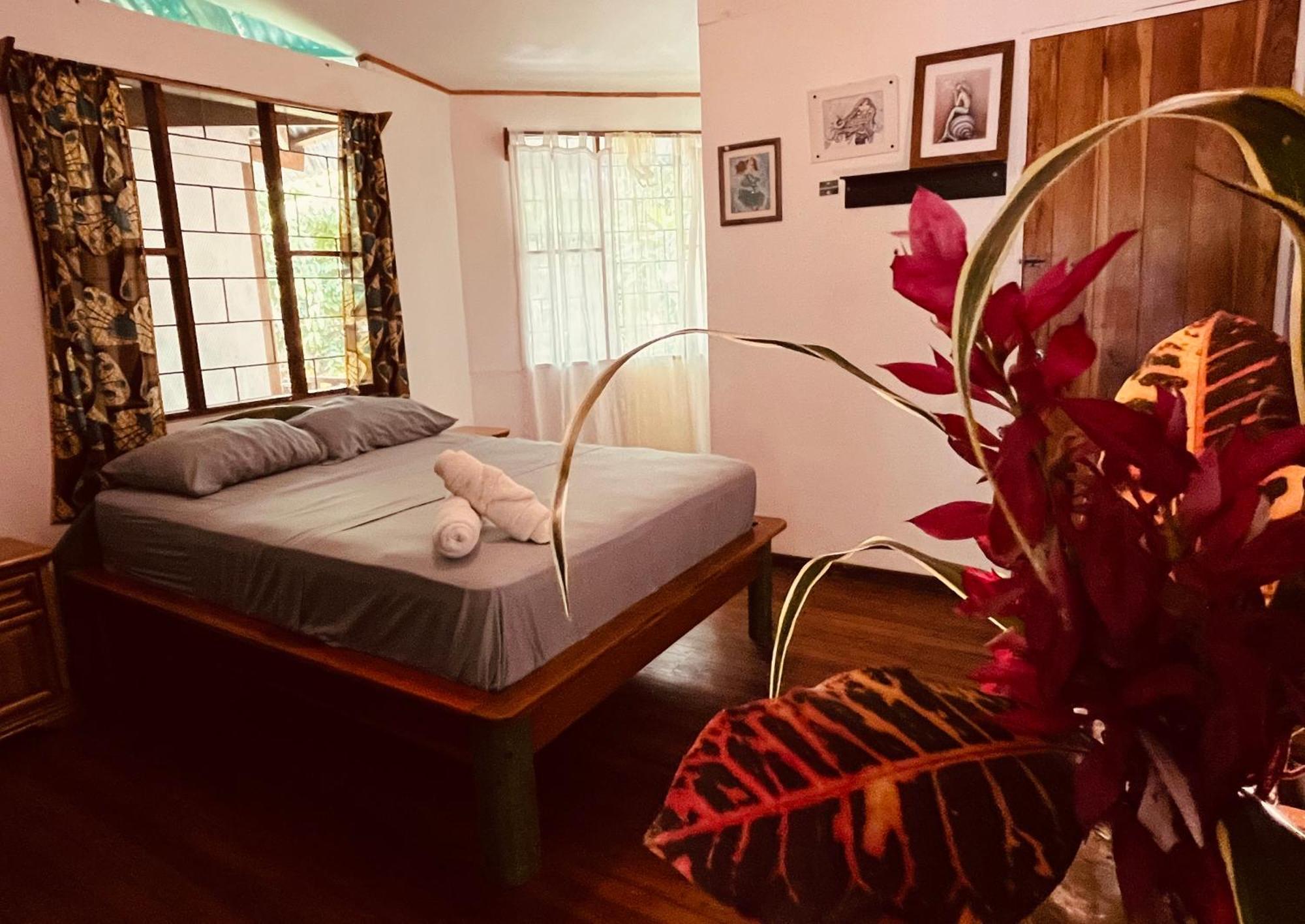Puerto Viejo de Talamanca La Ruka Hostel מראה חיצוני תמונה